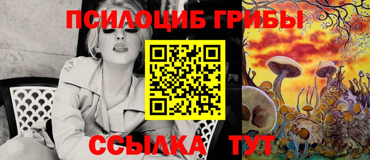 Назарово  Псилоцибиновые грибы Psilocybine cubensis  Вход с VPN  Галлюциногенные грибы Psilocybe 